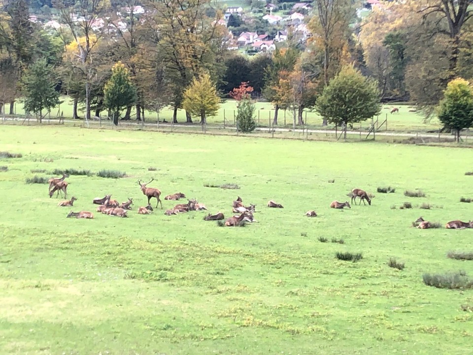 Frankreich - Vizille - 