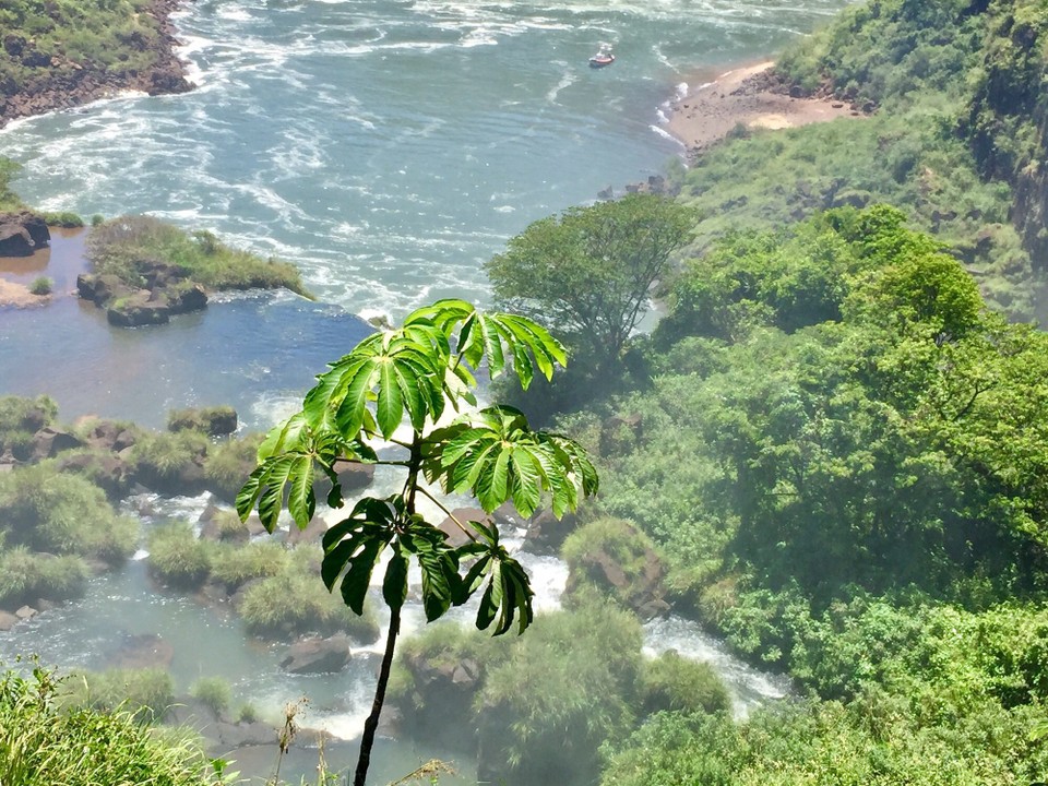 Argentinien - Iguazú - Natur Pur