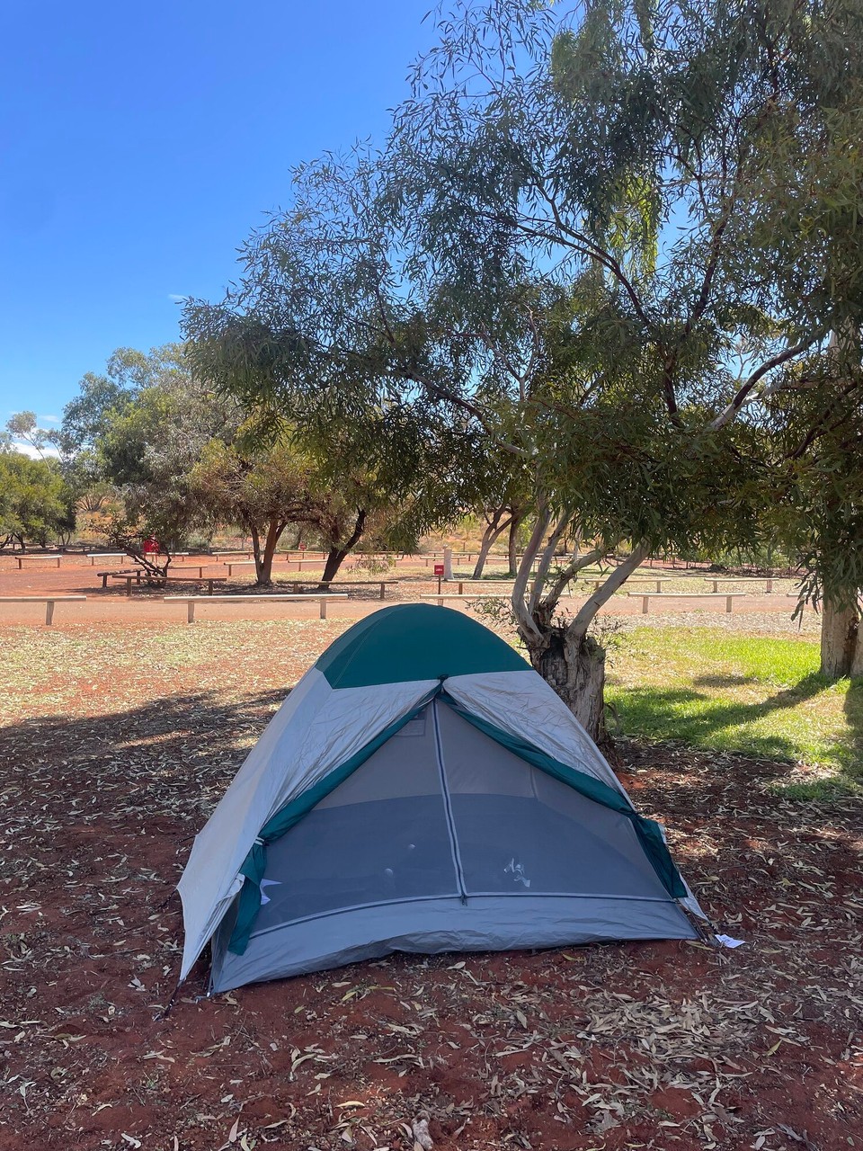 Australien - Yulara - üses Zelt, gratis vo gumtree
