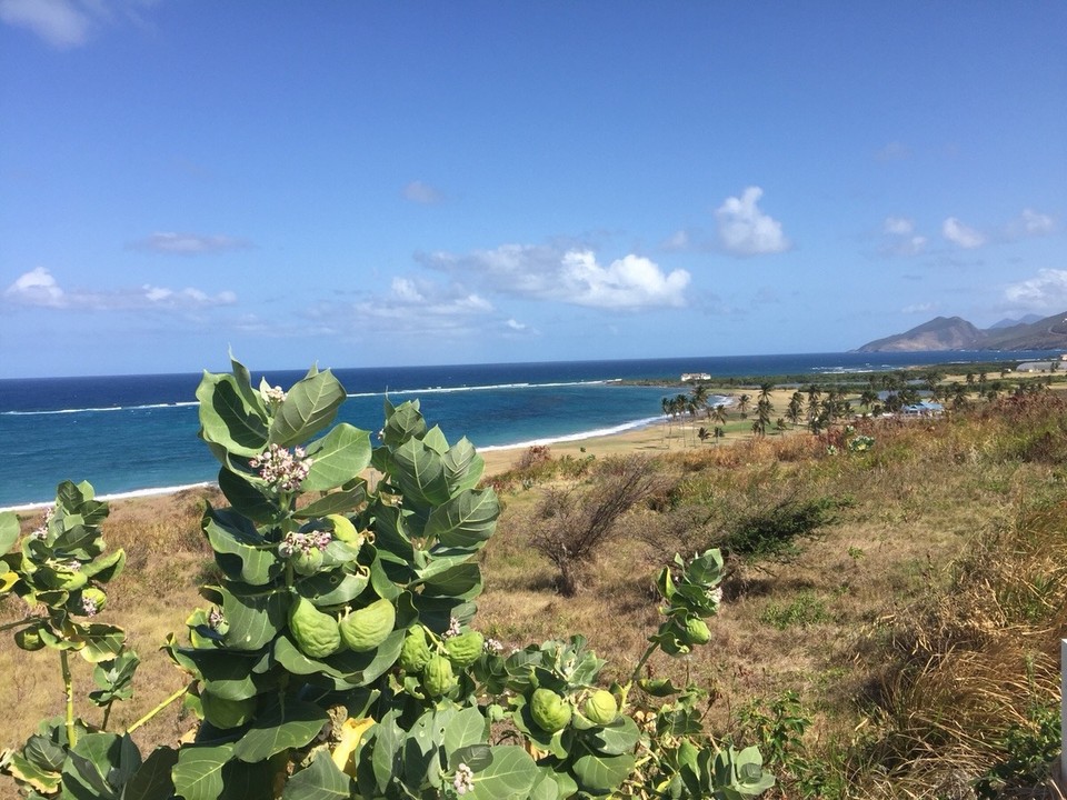 St. Kitts und Nevis - Basseterre - 