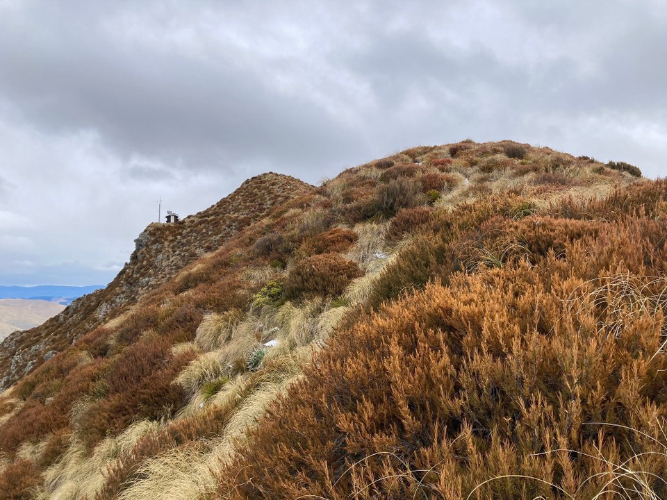 Neuseeland - Mount Peel - Gipfel rechts und Schutzhütte links