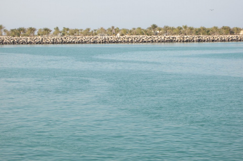  - Abu Dhabi - Mangroven