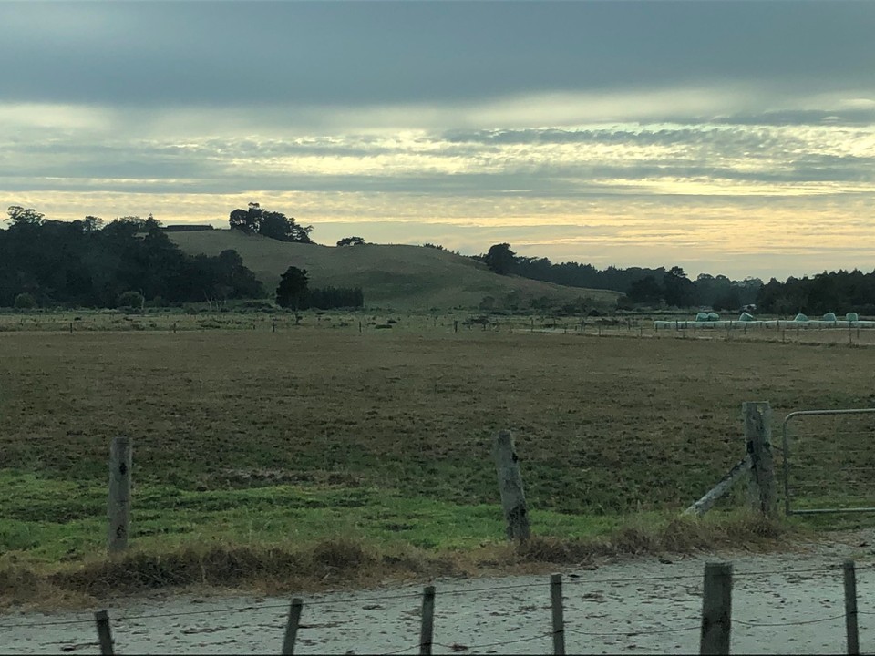 Neuseeland - Orakei - Morgenstimmung am Kaihuriver