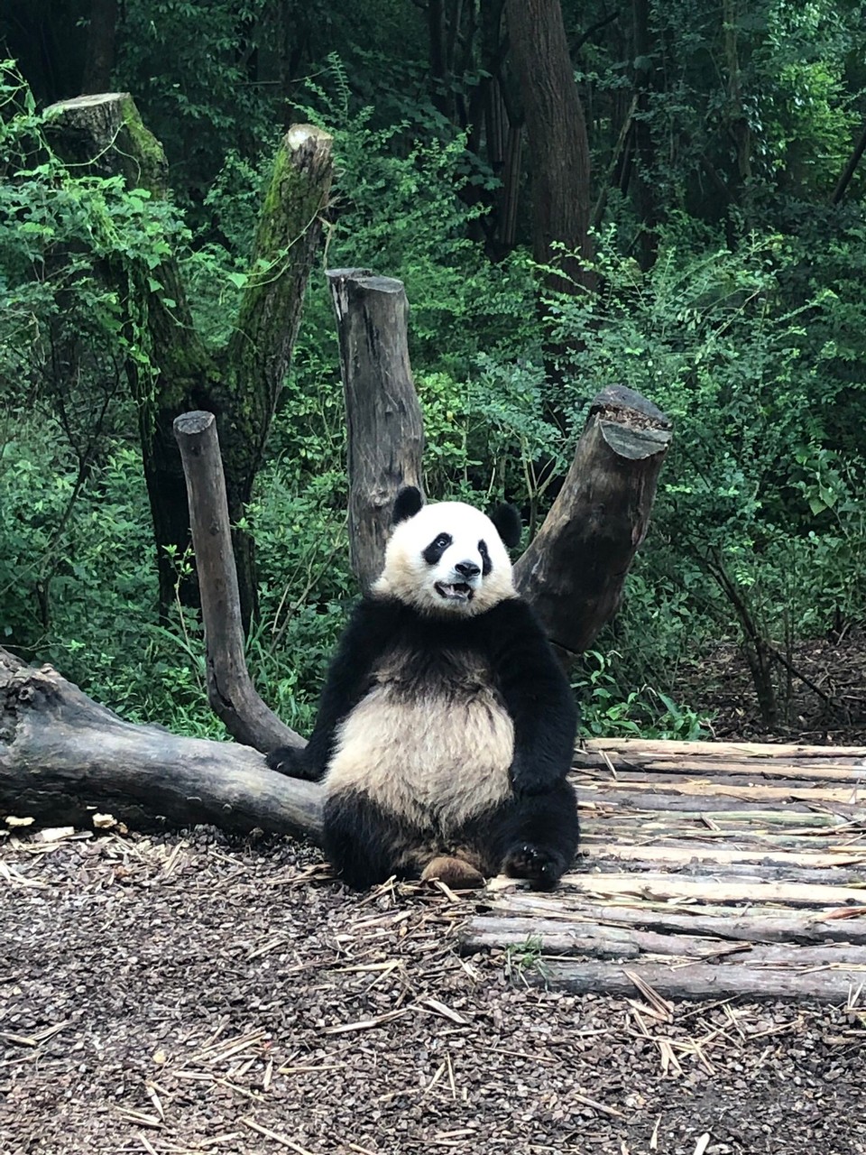 China - Chengdu - 