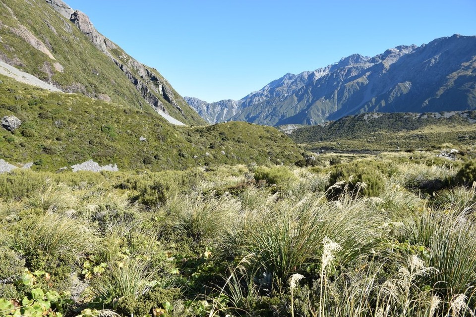 Neuseeland - Mount Cook - 