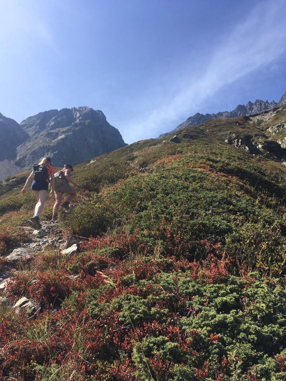 Frankreich - Allemond - Nach dem Steinmeer ein letztes Mal durch die bunte Wiese bergauf