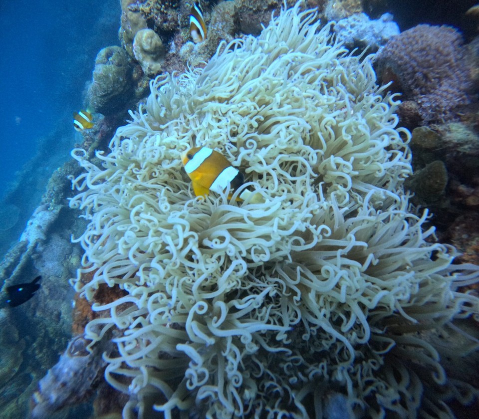 Philippines - Coron - 