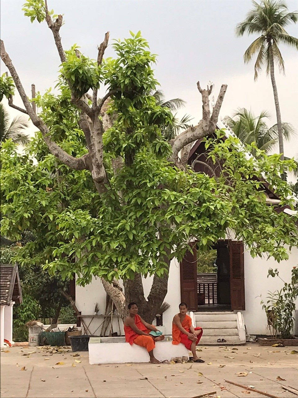 Laos - Luang Prabang - 