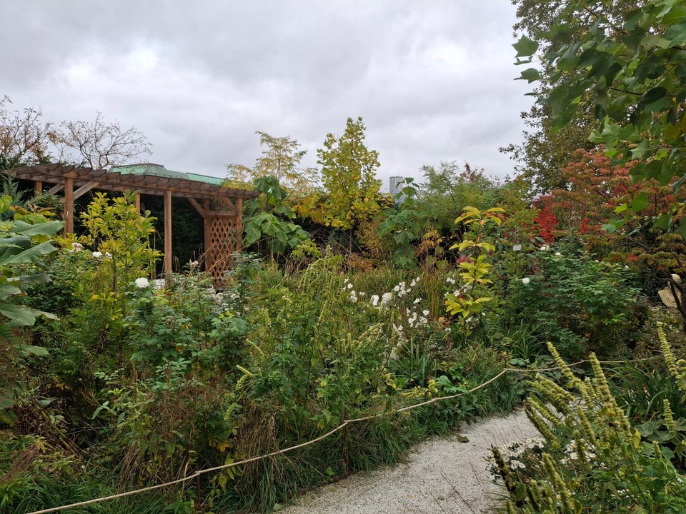 Schweden - Slottsträdgården - 