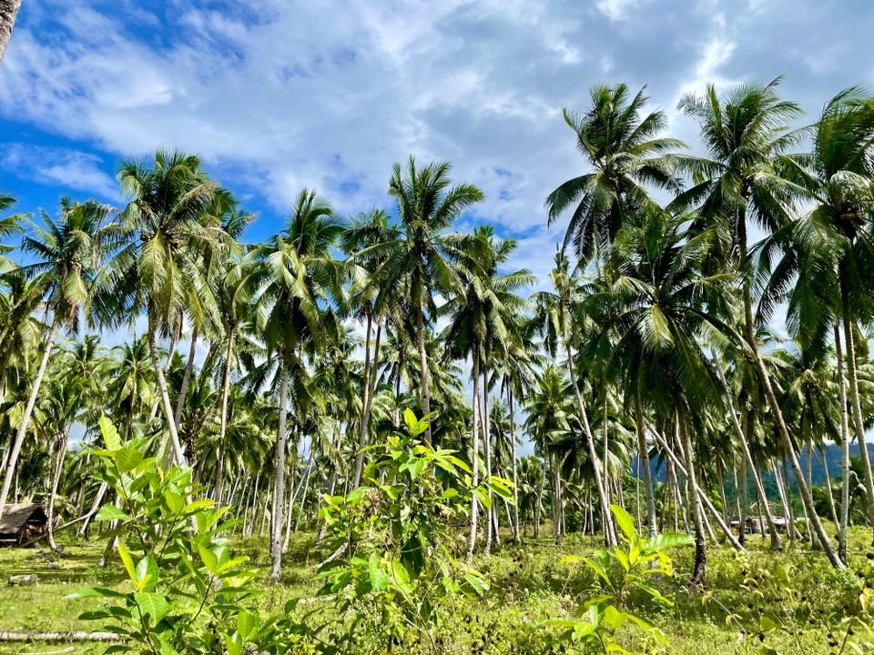 Philippinen - San Vicente - 