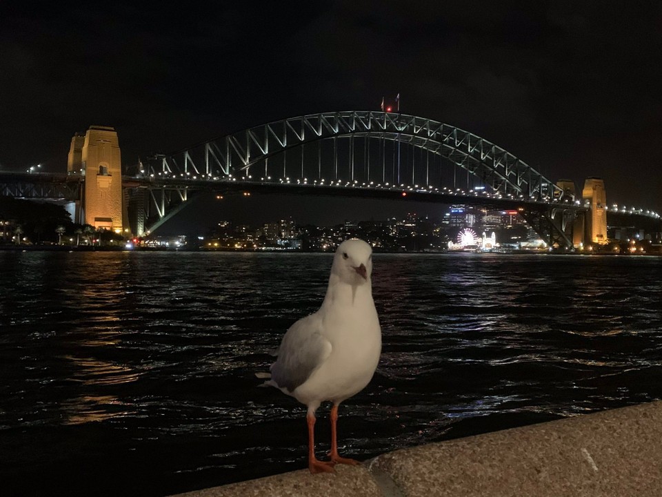 Australien - Haymarket - Brust raus uns posieren... die kreischenden Kollegen können mich mal, hehe🙈
