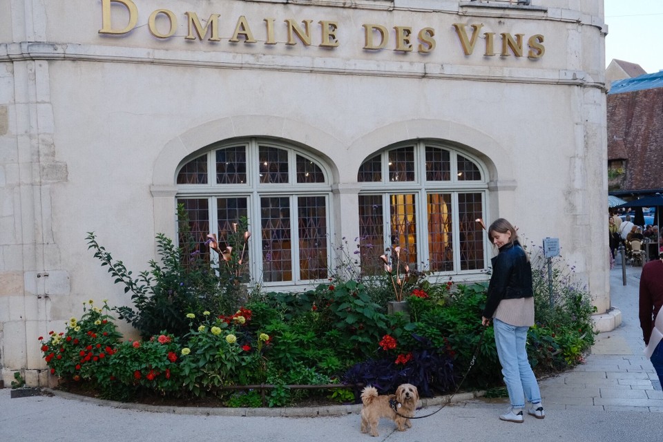 Frankreich - Beaune - 