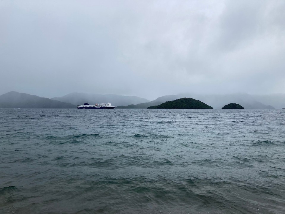 Neuseeland - Picton - Nächste Woche hüpf ich auch an Board 😎