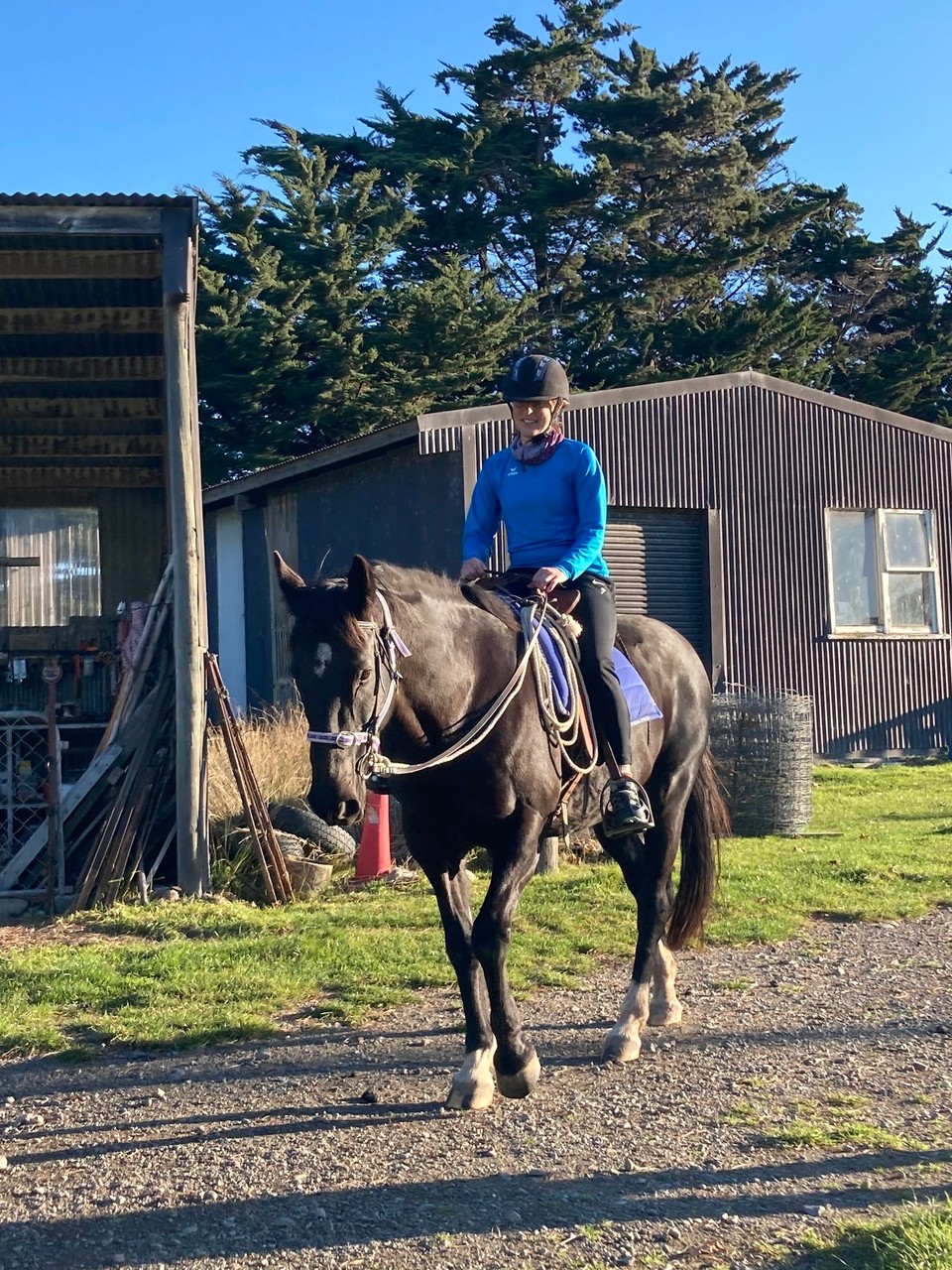 Neuseeland - Ward - Sonntag dürfen wir sogar ohne Führung reiten. Nur immer die Anweisung wo wir Bess entlang lotsen sollen 😀