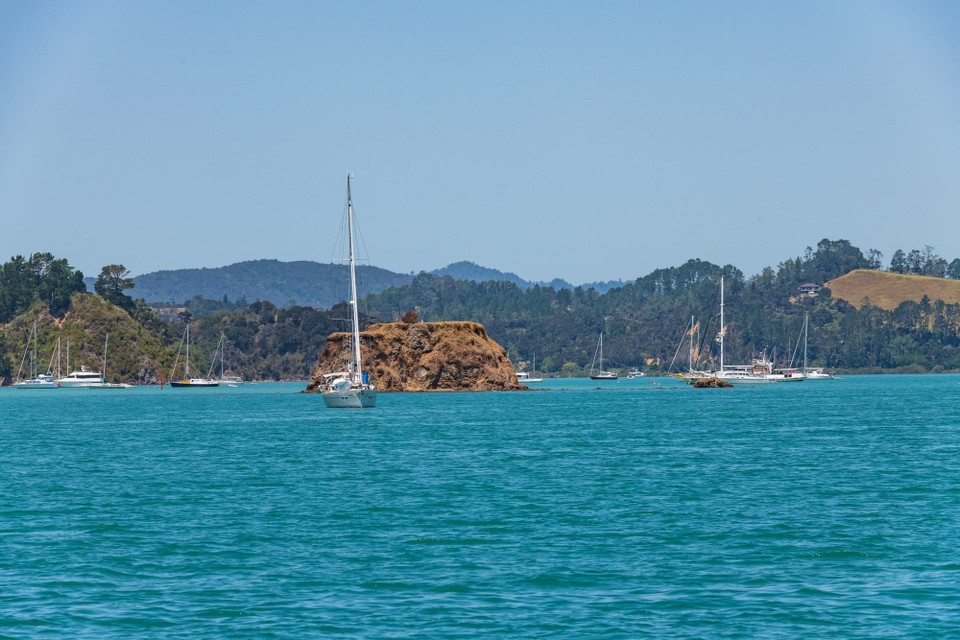 Neuseeland - Paihia - 