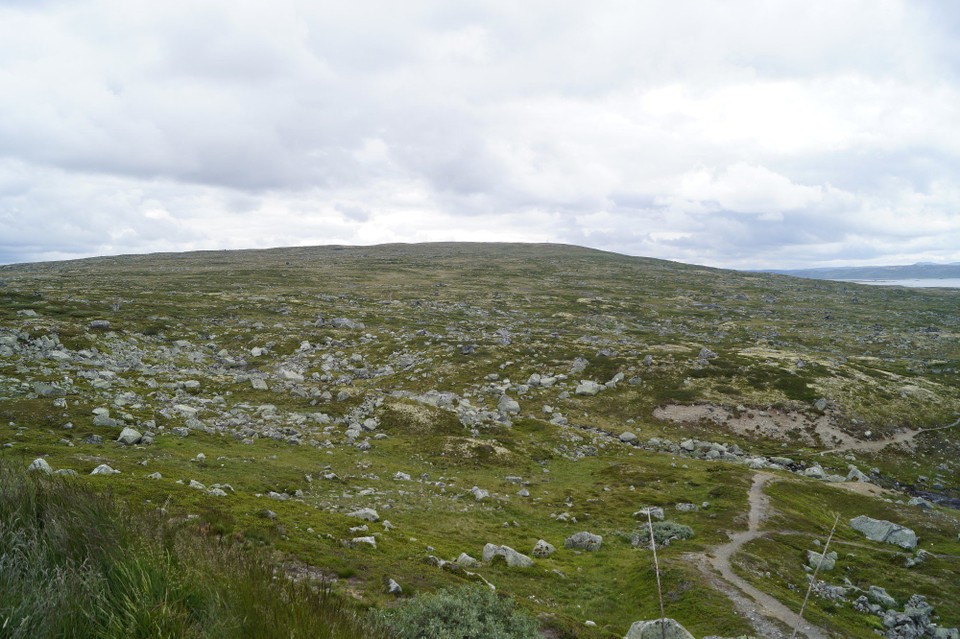 Norwegen - Fjæra - 