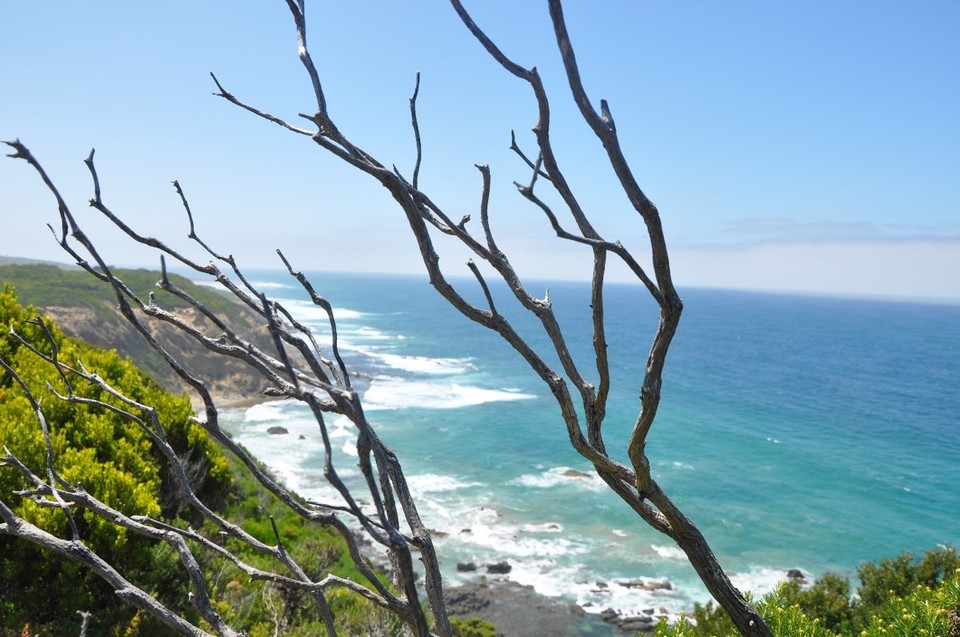 Australien - Warrnambool - Die Küste vom Leuchtturm aus gesehen