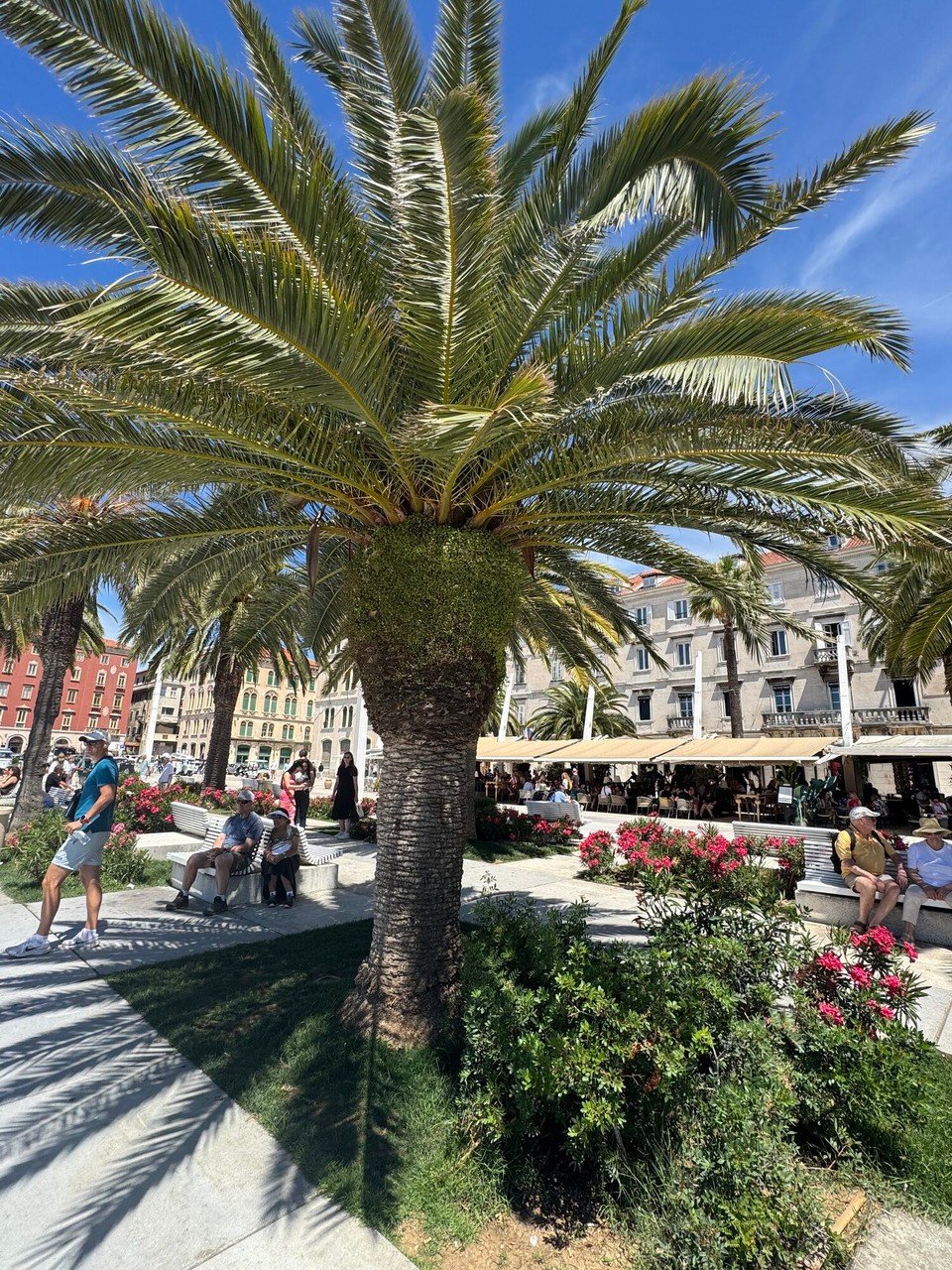 Kroatien - Split - Nach dem Frühstück ging es erstmal zum Hafen.