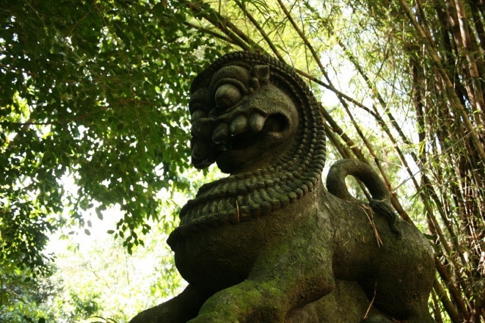 Sri Lanka - Sinharaja Forest - 