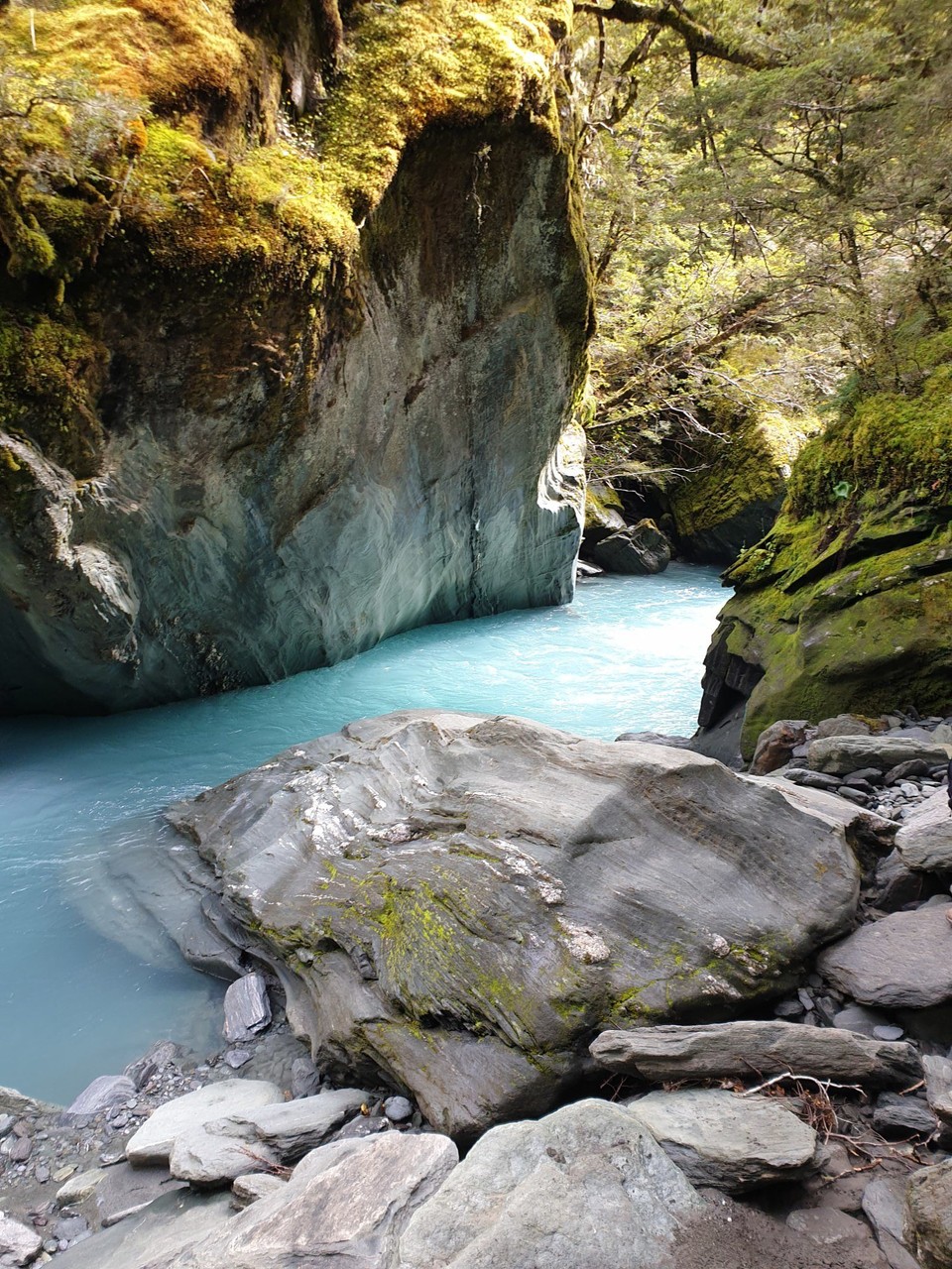 Neuseeland - Wanaka - 