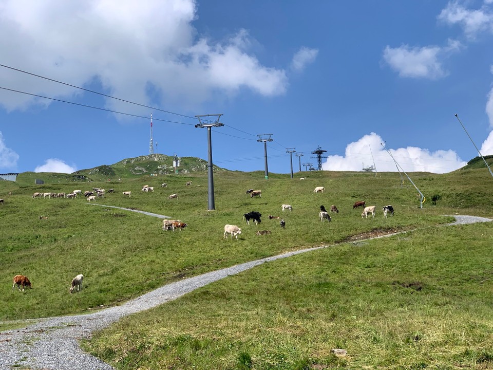 Österreich - Sankt Anton am Arlberg - 
