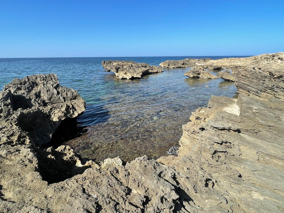 Italien - Cabras - 