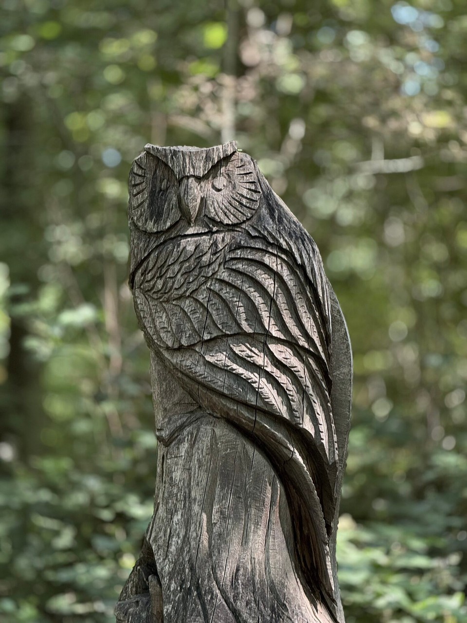 Deutschland - Schieder-Schwalenberg - 