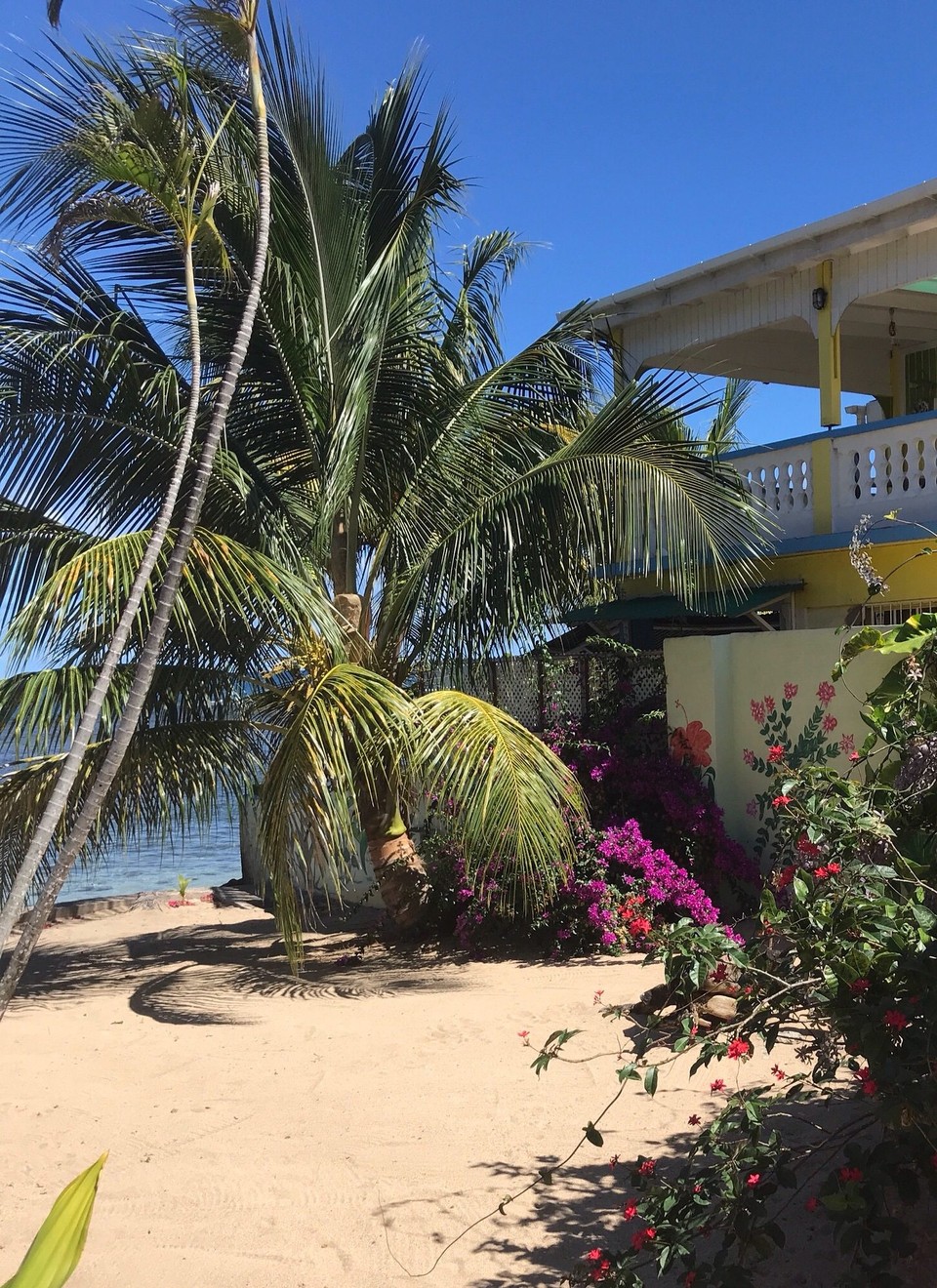 Dominica -  - 