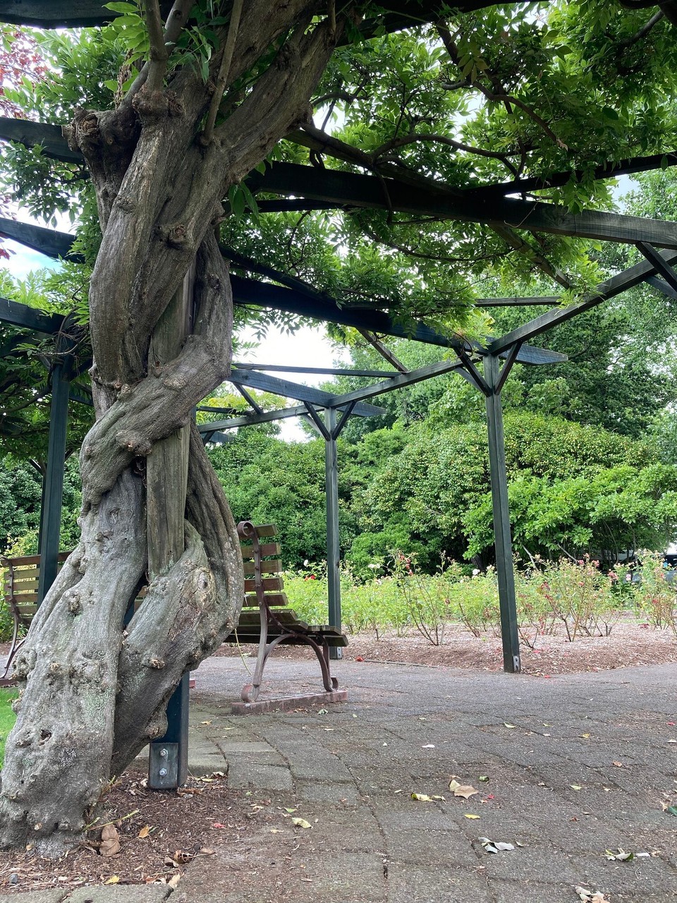 Neuseeland - Rotorua - 