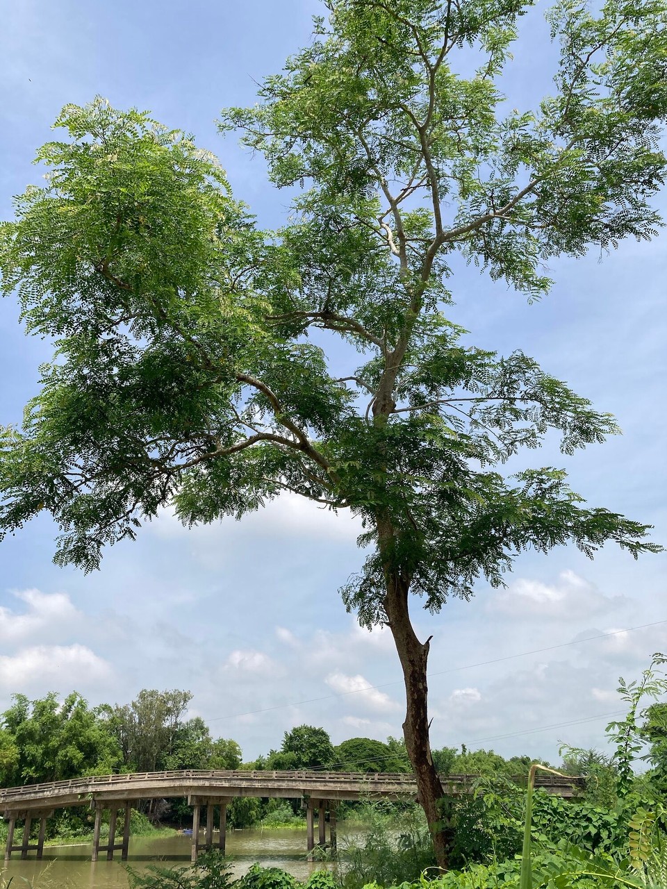 Thailand - Uttaradit - 