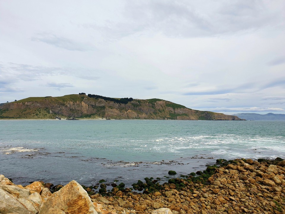 Neuseeland - Dunedin - 