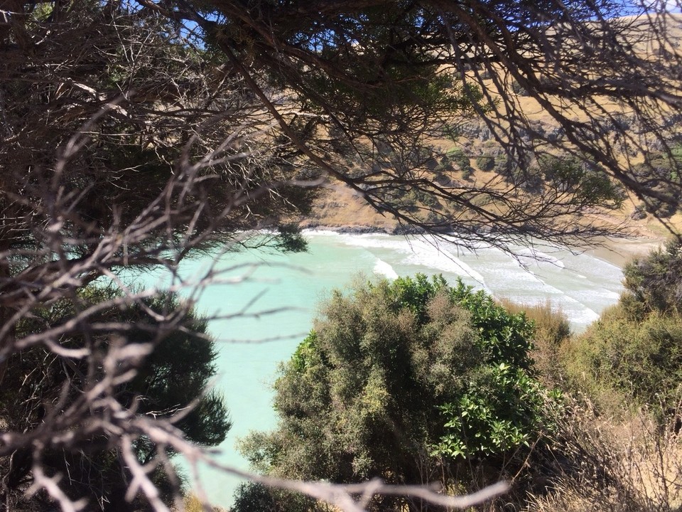 Neuseeland - Akaroa - 