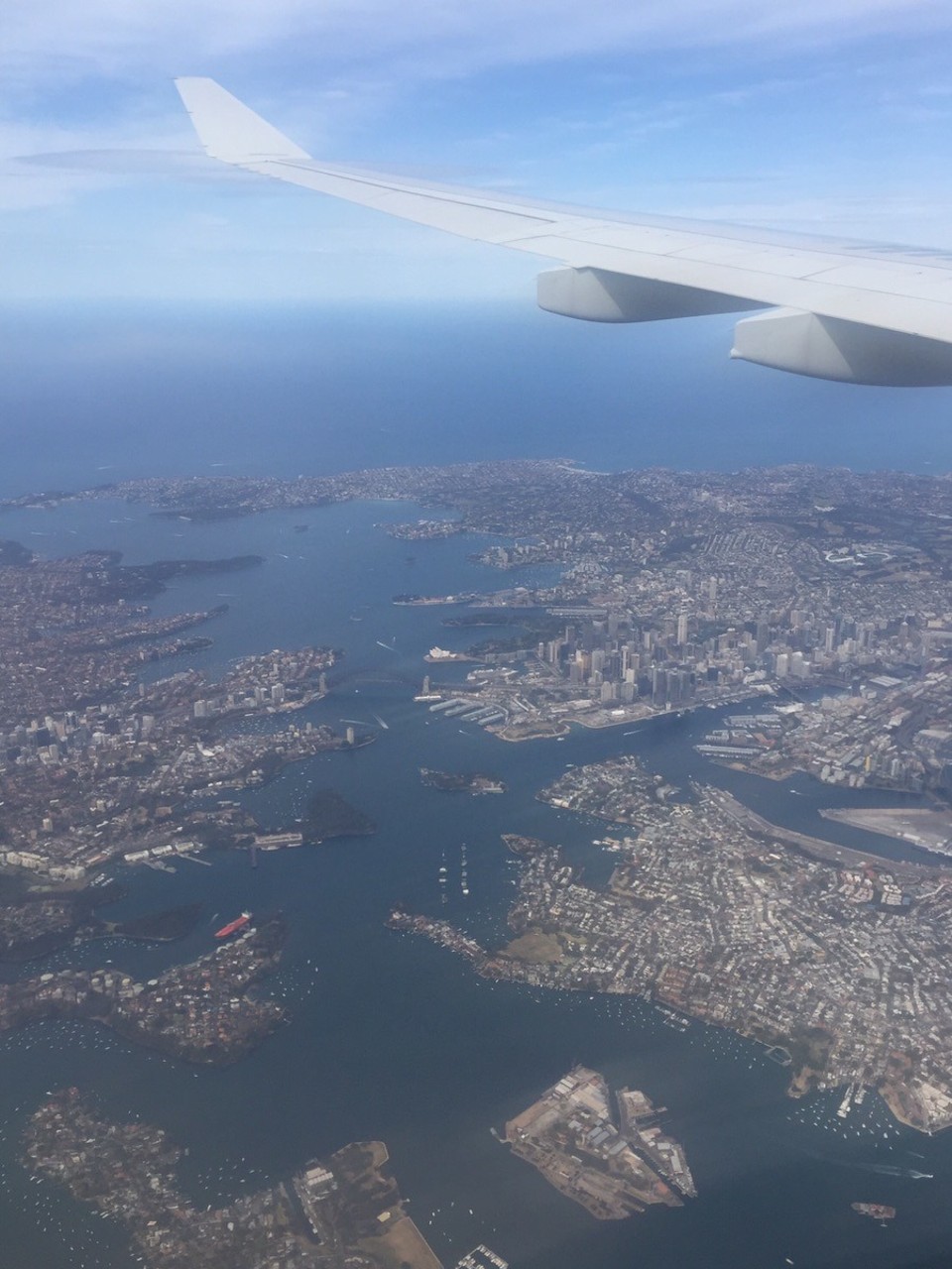 Australia - Mascot - 