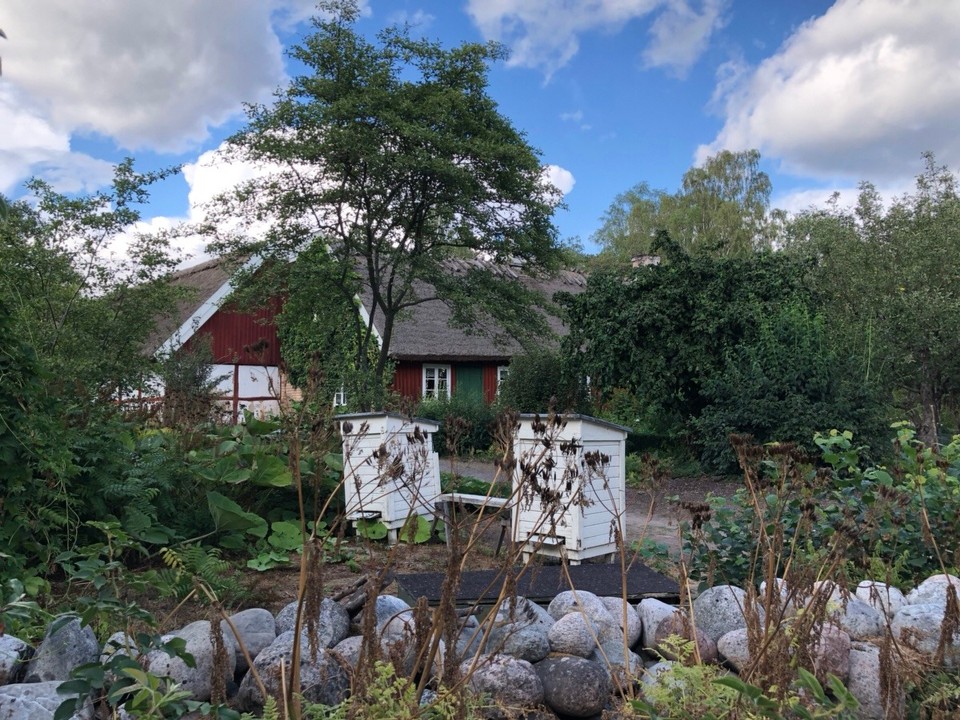 Schweden - Stockholm - 
