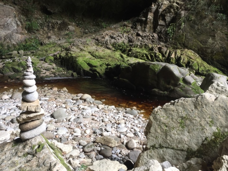 Neuseeland - Oparara River - 