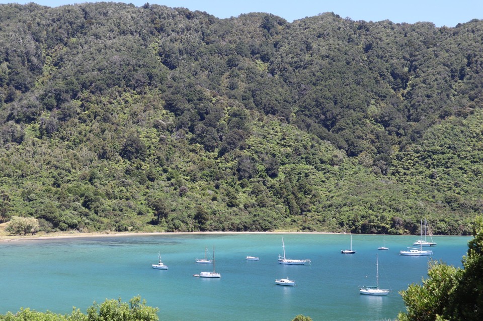 Neuseeland - Picton - 