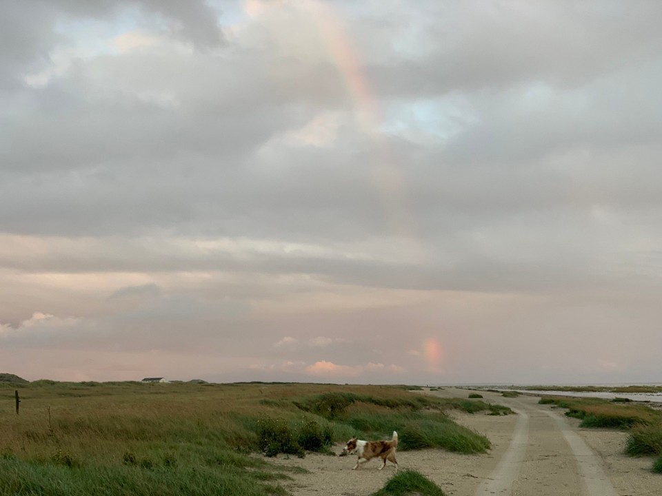 Danmark - Fanø - 