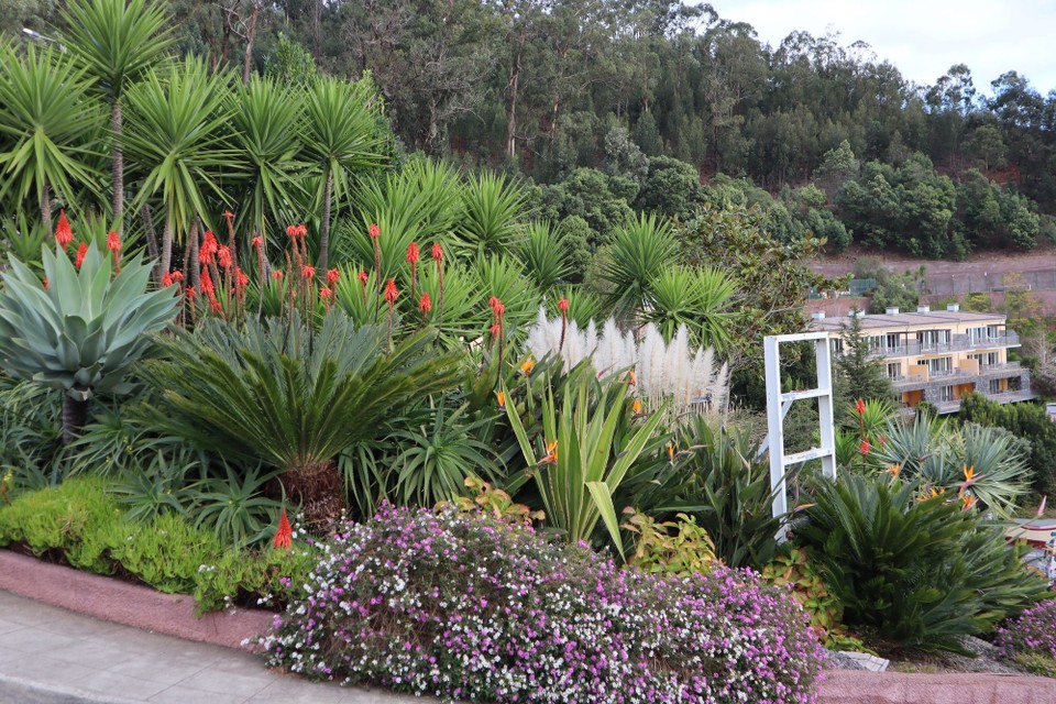 Portugal - Funchal - 