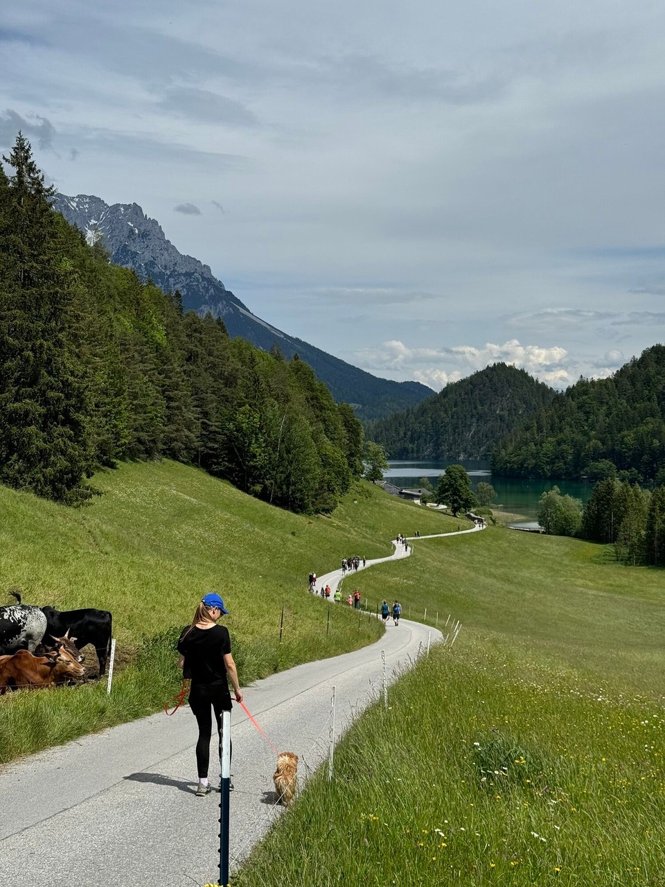 Österreich - Scheffau am Wilden Kaiser - 