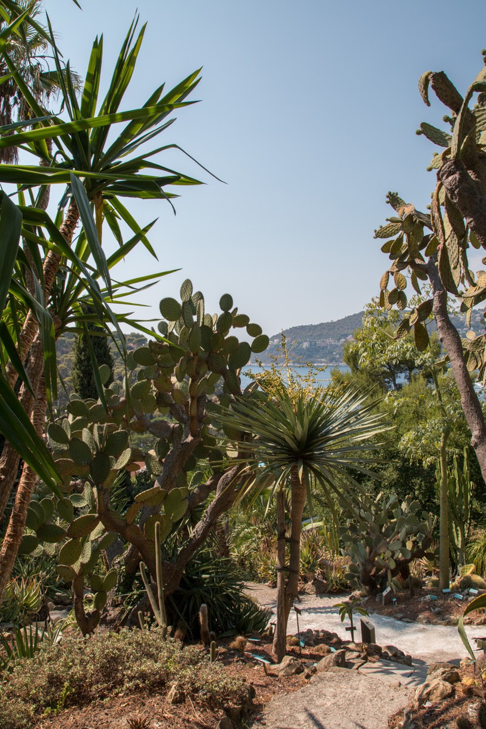 Frankreich - Saint-Jean-Cap-Ferrat - 