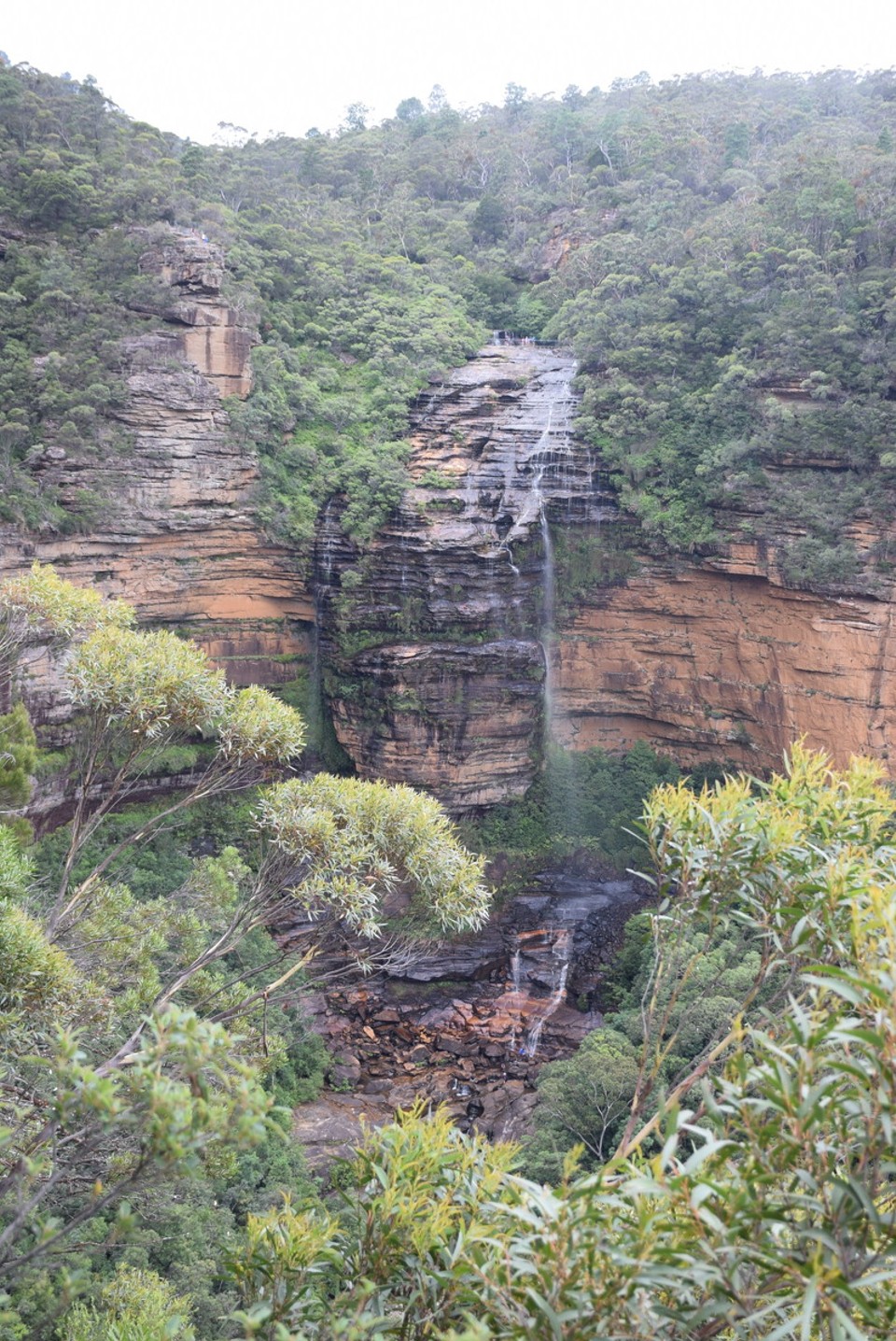 Australien - Wentworth Falls - 