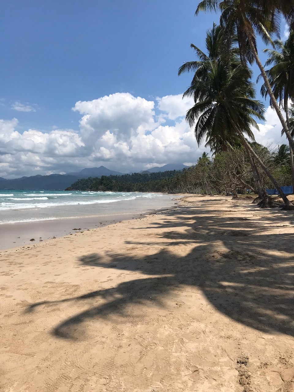 Philippines - Puerto Princesa - 