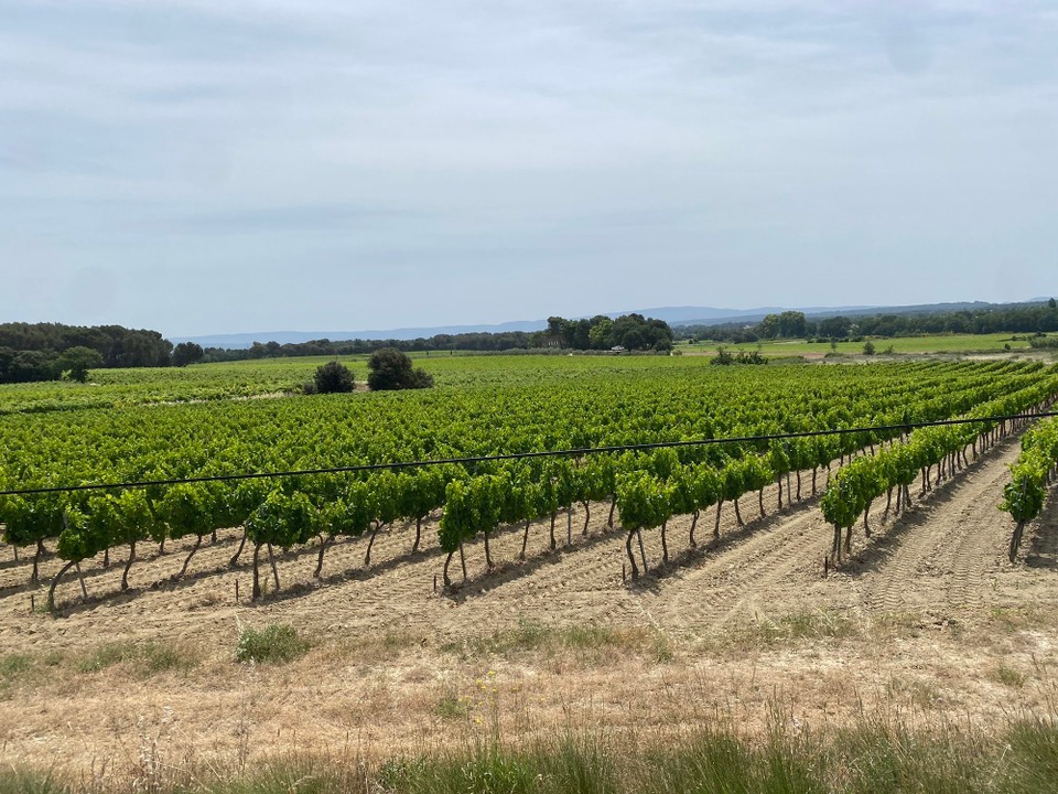 Frankreich - Sault - 