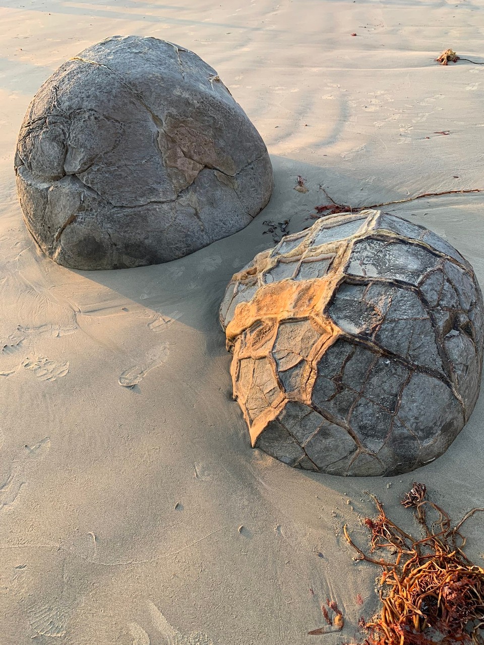 Neuseeland - Moeraki - 