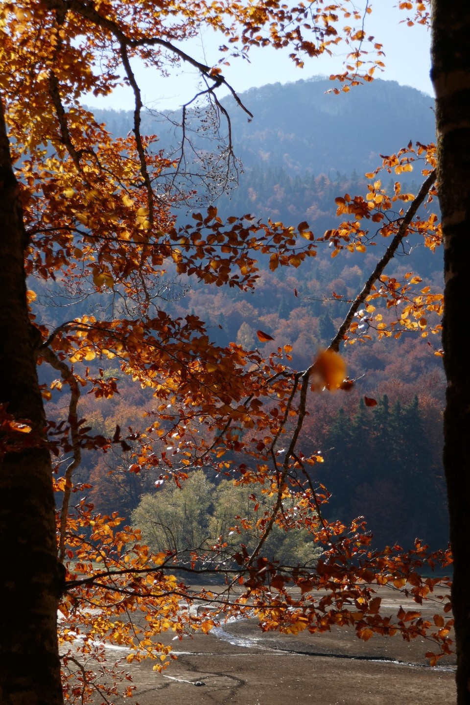 Montenegro - Nationalpark Biogradska Gora - 