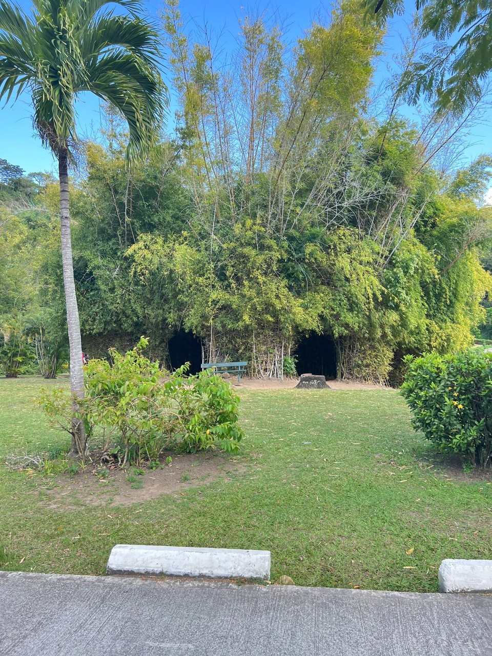Dominica -  - 