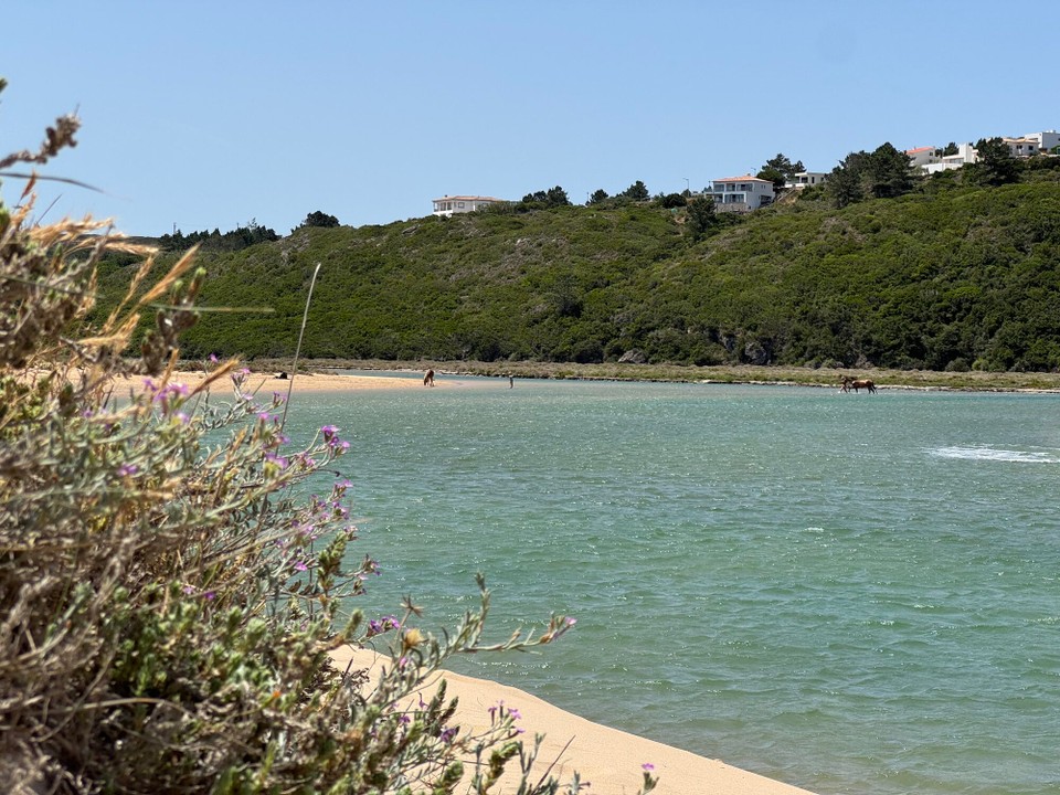 Portugal - Aljezur - Hier gibt es sogar Pferde am Strand ☺️
