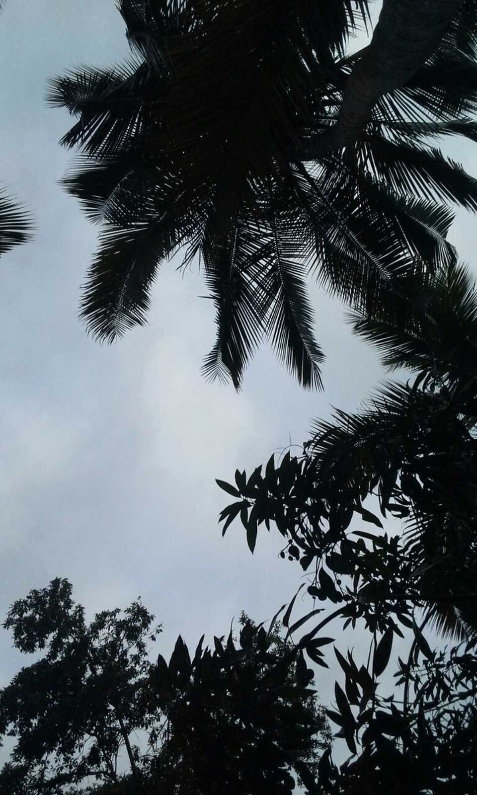 Kolumbien - Santa Marta (Dist. ESP. ) - 