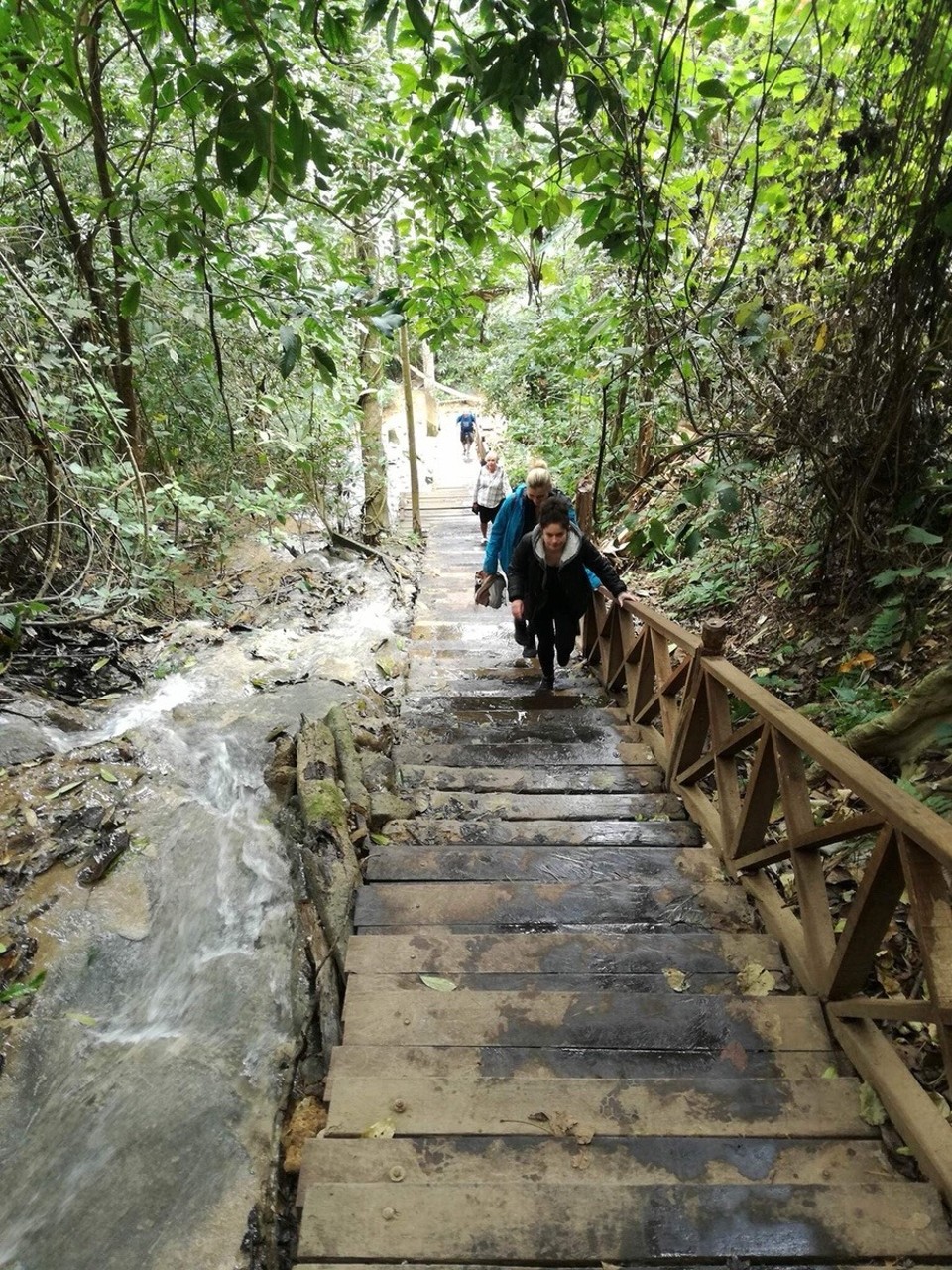 Laos - Luang Prabang - Steiler Hike zu einer dunklen Höhle...