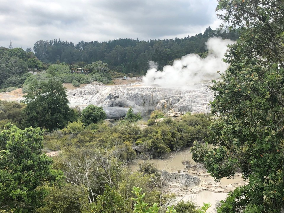 Neuseeland - Whakarewarewa - 